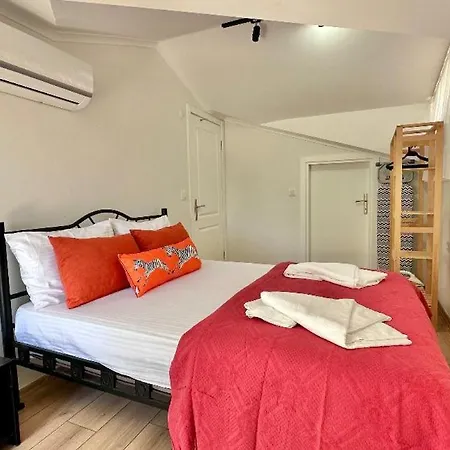 Twin With Private Pool In Fethiye's Center Villa